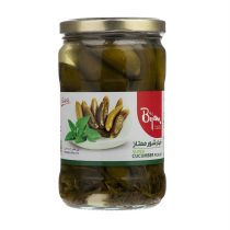 خیارشور ممتاز بیژن 660 گرمی