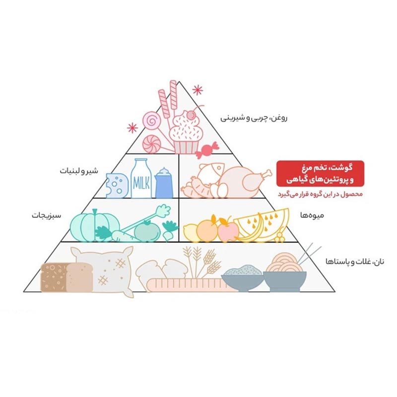 جدول هرم غذایی و جایگاه ماهی در آن