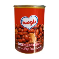 کنسرو لوبیا چیتی با قارچ دلوسه 380 گرم